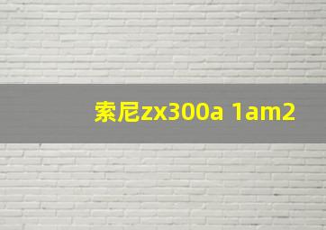 索尼zx300a 1am2